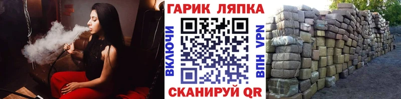 mega tor  Павловская  ГАШИШ индика сатива 