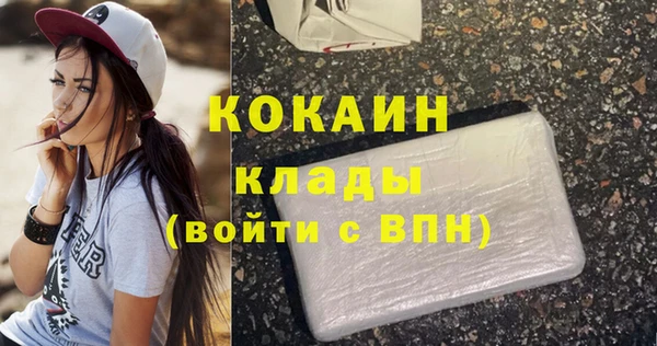 соль ск Алексин