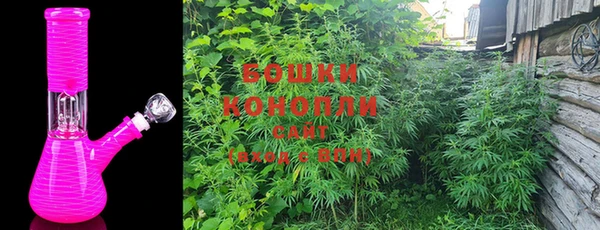 соль ск Алексин
