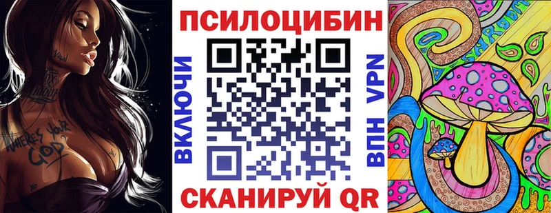 где можно купить Павловская Галлюциногенные грибы Magic Shrooms