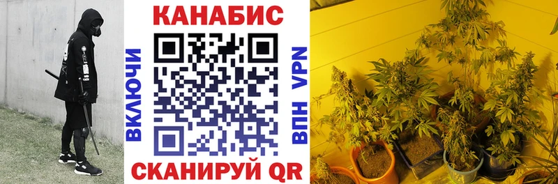 мориарти формула  Павловская  Марихуана конопля 